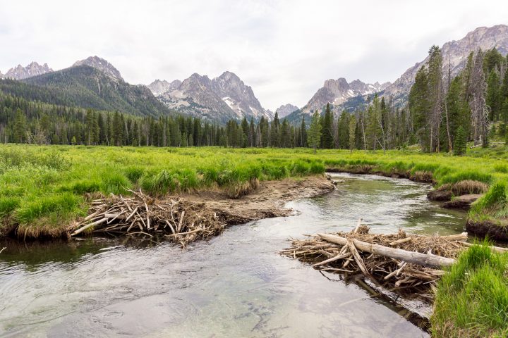 July Market Report Sun Valley Idaho