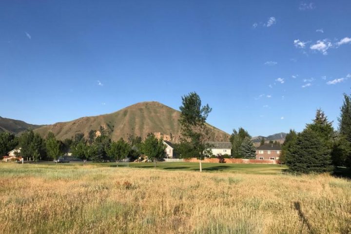 grassy field, trees, and mountains at 931 buckhorn drive
